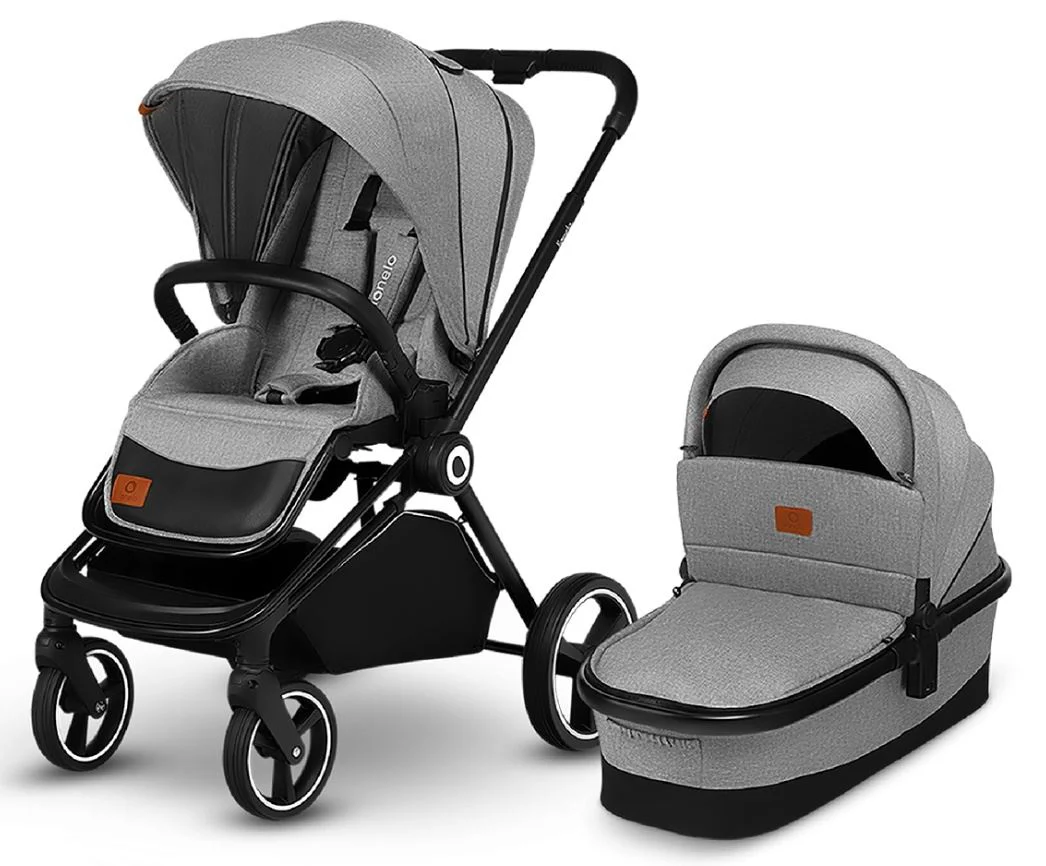 image for Carucior 2 in 1 Lionelo Mika foto