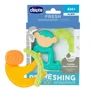 Охлаждающее десневое кольцо Chicco Mix (4+ мес.)
