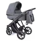 Коляска 2 в 1 Coletto Dante D-01 Silver foto