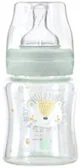 Стеклянная бутылочка KikkaBoo Jungle King Mint, 120 мл