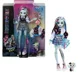 Игровой набор Monster High Кукла Фрэнки Штейн с питомцем