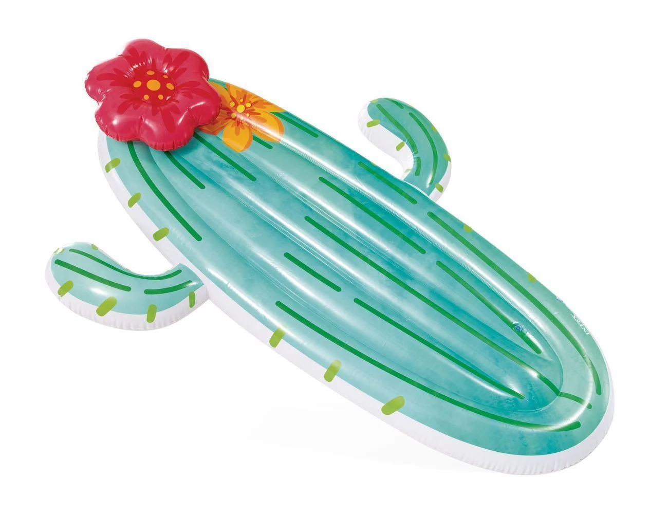 image for Pluta gonflabila Intex "Cactus", 180x135x28 cm foto