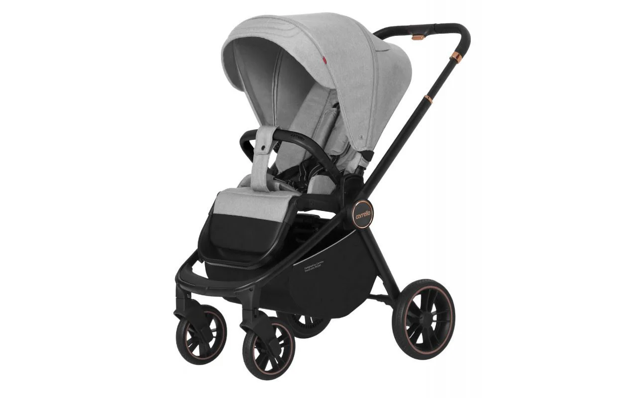 image for Детская коляска 2 в 1 Carrello Epica Серый foto