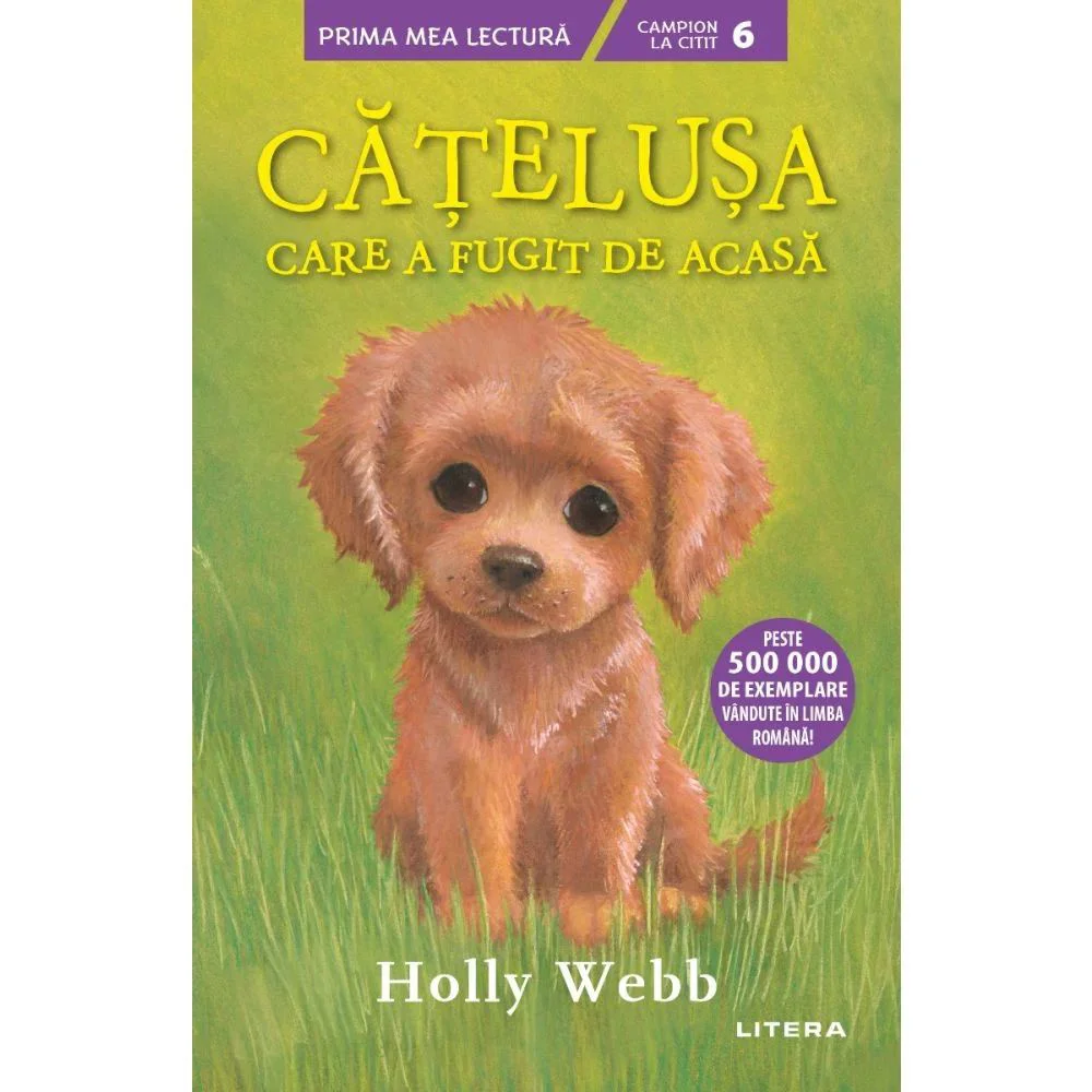 image for Catelusa care a fugit de acasa, Holly Webb foto