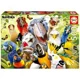 Пазл Educa Watch The Birdie, 500 эл.