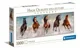 Puzzle Clementoni Horses, 1000 piese