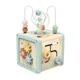 Развивающий деревянный кубик от Tooky Toy