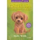 Catelusa care a fugit de acasa, Holly Webb foto