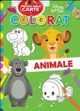 Disney Bebe. Prima mea carte de pictat. Animale