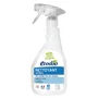 Spray eco concentrat pentru ferestre Ecodoo, 500 ml