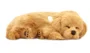 Jucarie interactiva Perfect Petzzz "Golden Retriever"