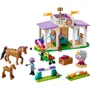 Set de constructie LEGO Friends Dresaj pentru cai, 134 el. foto