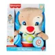 Catelus interactiv Fisher Price, RO