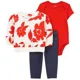 Carter's Set 3 piese Bluza, body si pantaloni foto