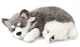 Jucarie interactiva Perfect Petzzz "Husky Alaskan"