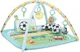 Salteluta de activitati Bright Starts Grip & Kick Oball