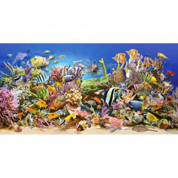 Puzzle Castorland Underwater life, 4000 piese foto