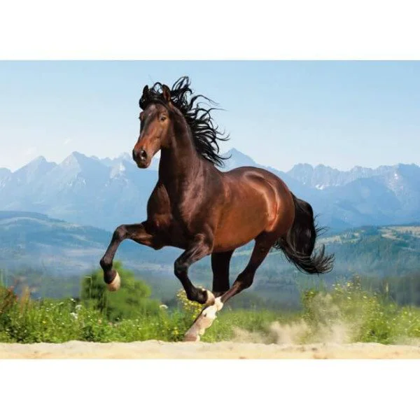 Puzzle Castorland Galloping Andalusian, 1500 piese foto