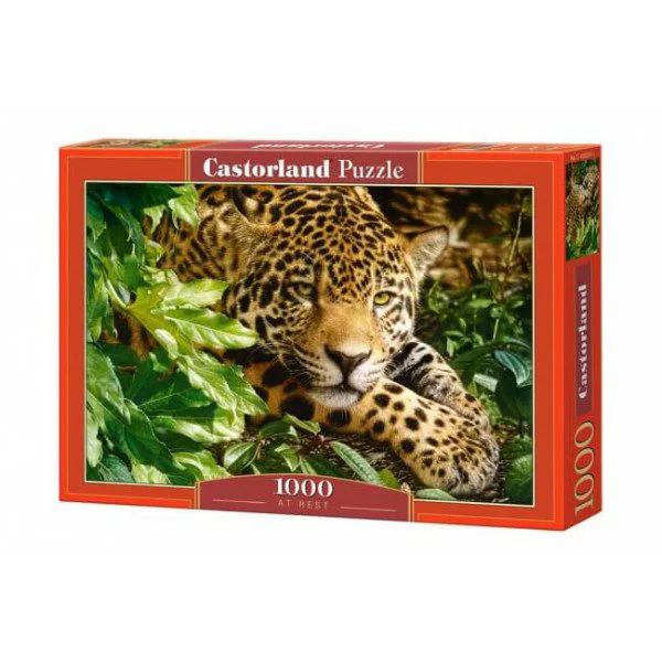 Puzzle Castorland At Rest, 1000 piese foto