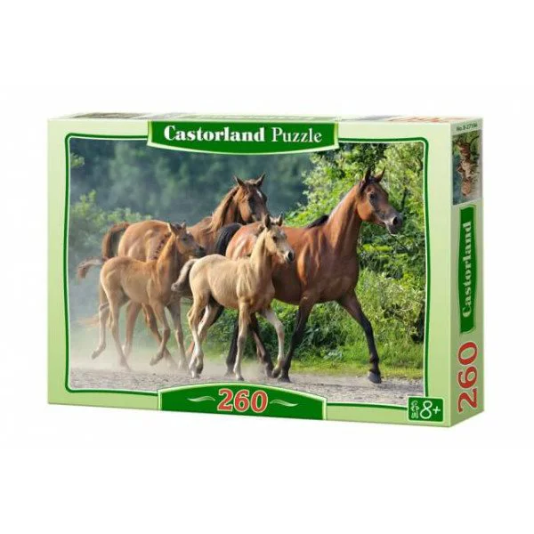 Puzzle Castorland Purebred Arabians, 260 piese foto