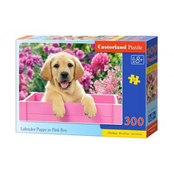 Пазл Касторланд Labrador Puppy in Pink Box, 300 эл. foto