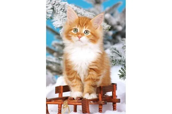 Puzzle Castorland Animals, 54 MINI piese foto