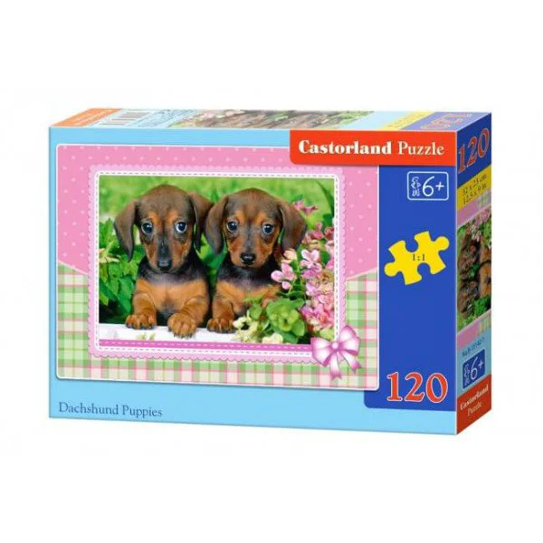 Puzzle Castorland Dachshund Puppies, 120 MIDI piese foto
