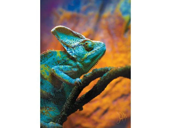 Puzzle Trefl Reptiles - Chameleon, 1000 piese foto