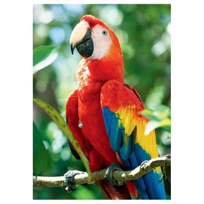 Puzzle Trefl Vivid Beauty - Scarlet Macaw, Honduras, 1000 piese foto
