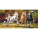 Puzzle Castorland Born to Run, 4000 piese foto