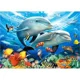 Puzzle Castorland Beneath the Waves, 1500 piese foto