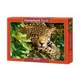 Puzzle Castorland At Rest, 1000 piese foto