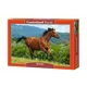 Puzzle Castorland Reddish-brown horse, 1000 piese foto