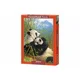 Puzzle Castorland A New Dynasty, 1000 piese foto