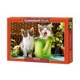 Puzzle Castorland Little Gardeners, 1000 piese foto