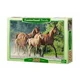 Puzzle Castorland Purebred Arabians, 260 piese foto