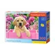 Пазл Касторланд Labrador Puppy in Pink Box, 300 эл. foto