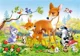 Puzzle Castorland Povesti, 24 MINI piese foto