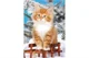 Puzzle Castorland Animals, 54 MINI piese foto