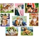 Puzzle Castorland Animals, 80 MINI piese foto