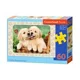 Puzzle Castorland Golden Retriever Pups, 60 MIDI piese foto