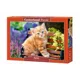 Puzzle Castorland Ginger Kitten, 500 piese foto