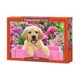 Puzzle Castorland Labrador Puppy in Pink Box, 500 piese foto