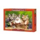 Пазл Касторланд Three Lovely Kittens, 500 эл. foto