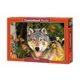 Puzzle Castorland Mysterious Eyes, 500 piese foto