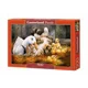 Puzzle Castorland Pals, 500 piese foto