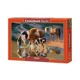 Puzzle Castorland Night Cap, 500 piese foto