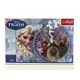Puzzle Trefl Disney Friends from the Frozen Land, 60 piese foto