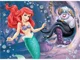 Puzzle Trefl Disney Princess, 3 in 1 (30+40+60 piese) foto