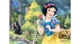 Puzzle Trefl Disney Princess, 3 in 1 (30+40+60 piese) foto